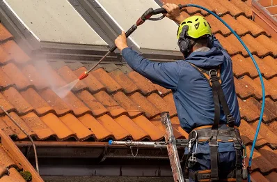 Démoussage et hydrofuge de toiture à Pouzay